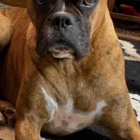 Live Share Show 12/03/2024 1:00pm cst - Picture 9 of 9